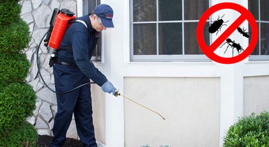 Akıncılar Hamam Böceği İlaçlama böcek ilaçlama ve haşere kontrolü — ilaclama-tr.com